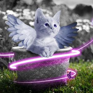 一级a爱做片观看免费国产
